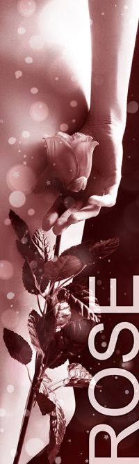 Status Rose - Honorarübersicht Escort Hannover Status Rose - Honorarübersicht Escort Hannover