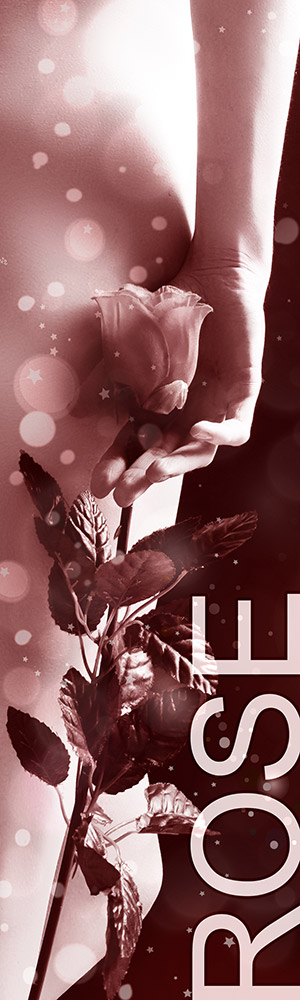 Honorar Status Rose - Escort Hannover Honorar Status Rose - Escort Hannover